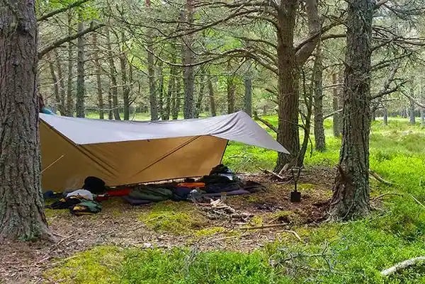 Camping Tarps: How to Choose the Best Tarp